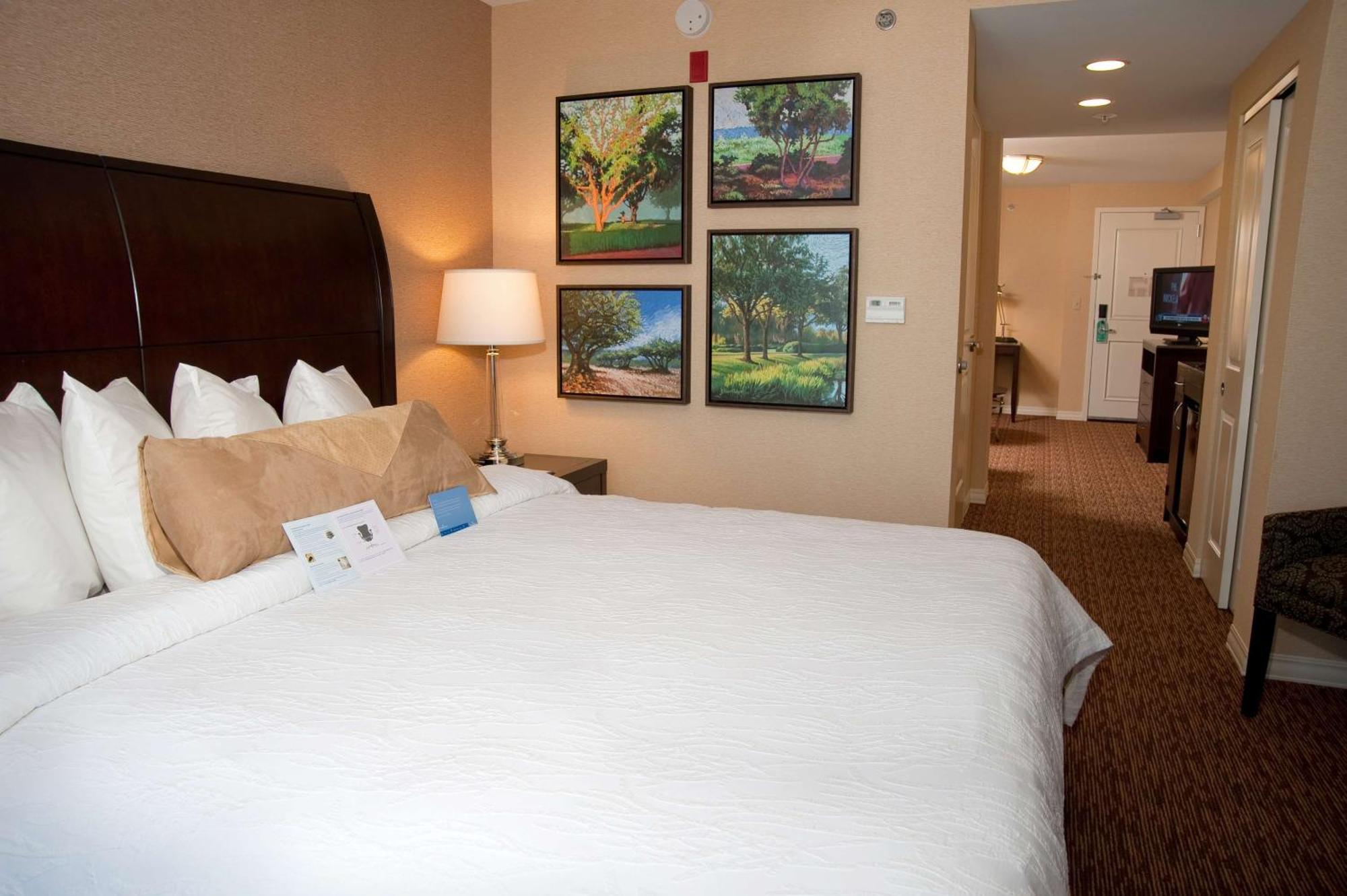 Hilton Garden Inn St. Louis Airport Berkeley Εξωτερικό φωτογραφία